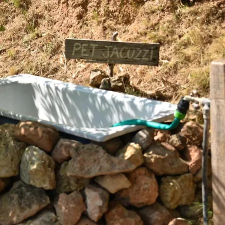 Cosy In Pedralba, 32 Sqm, Private Pool Prázdninový dům